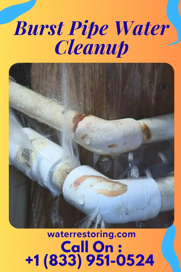 Burst Pipe Water Cleanup in Oakland, MS